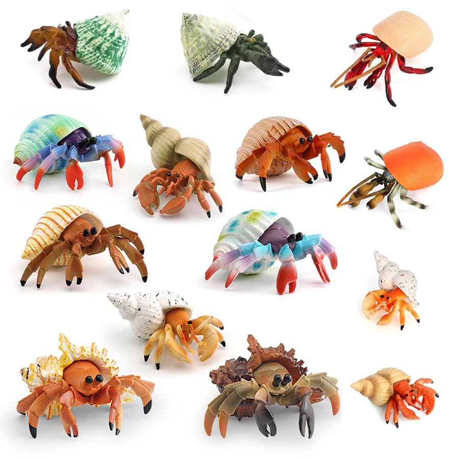 Realistic Hermit Crab Figurine - Kids Toys 3 Year Old ulasan dan harga