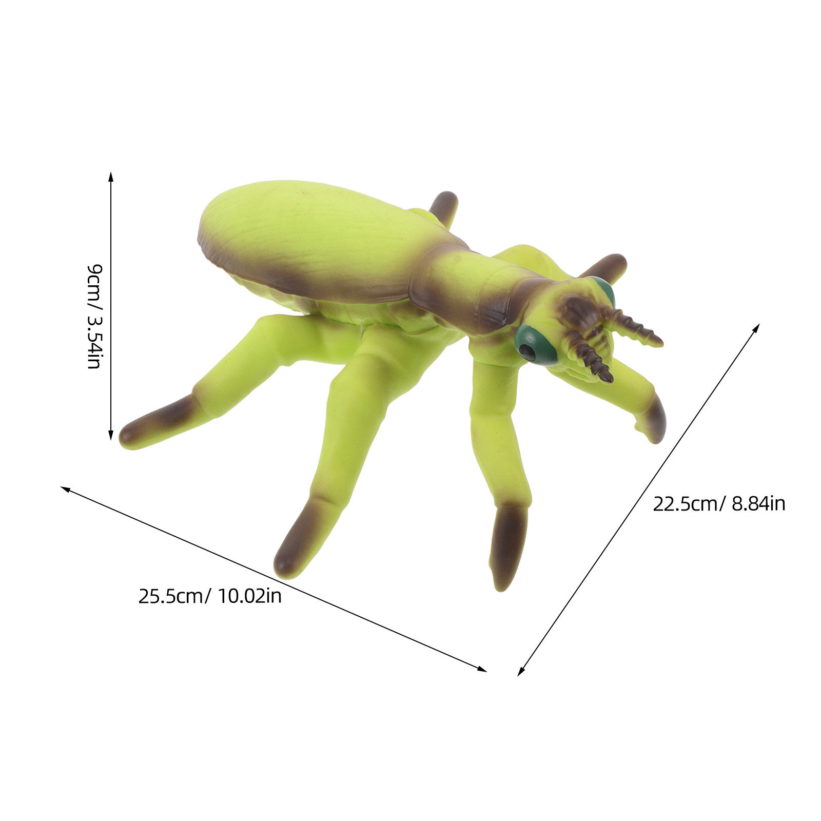 Realistic Grasshopper & Mantis - Kids Yard Toys ulasan dan harga